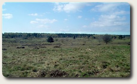 photo of Budby Common