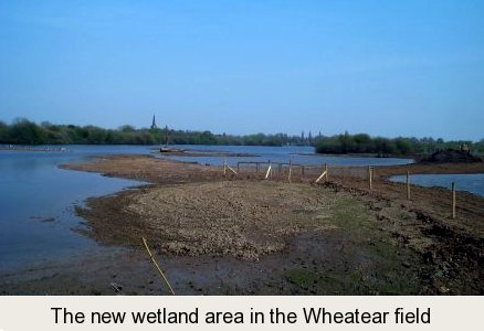 photo of the new wetland in the Wheatear Field
