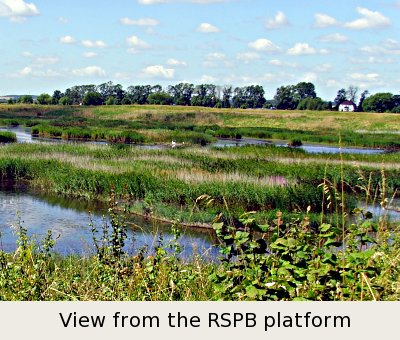 photo of view from the RSPB platform