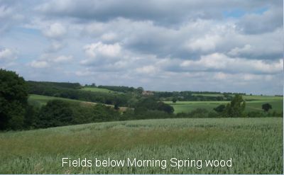 photo of fields above Felley Mill